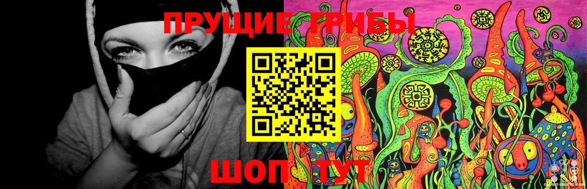 Галлюциногенные грибы прущие грибы Абинск